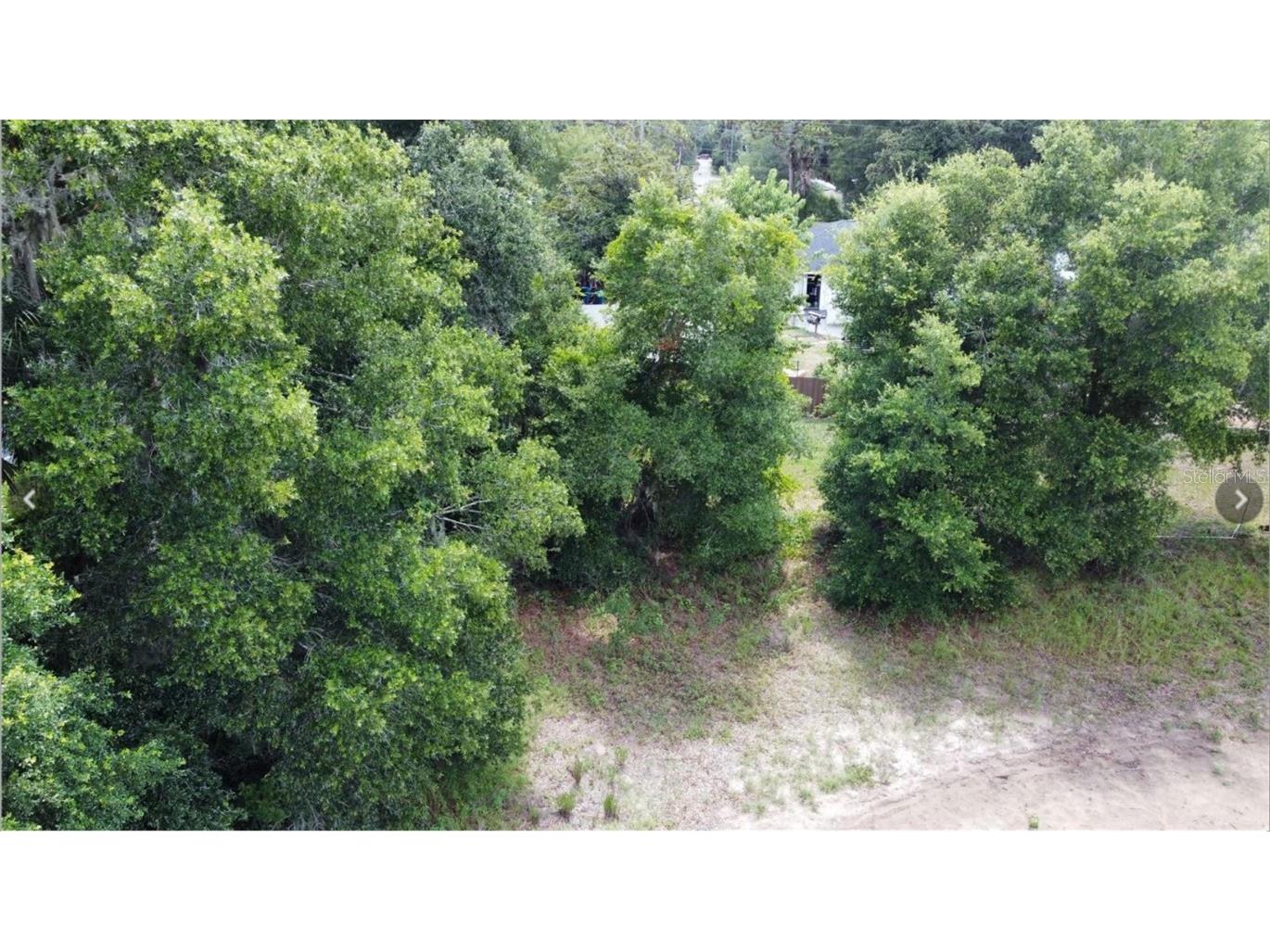 00 W Highway 40 Dunnellon FL 34431 - WITHLACOOCHEE RIVER TB8315658 image9