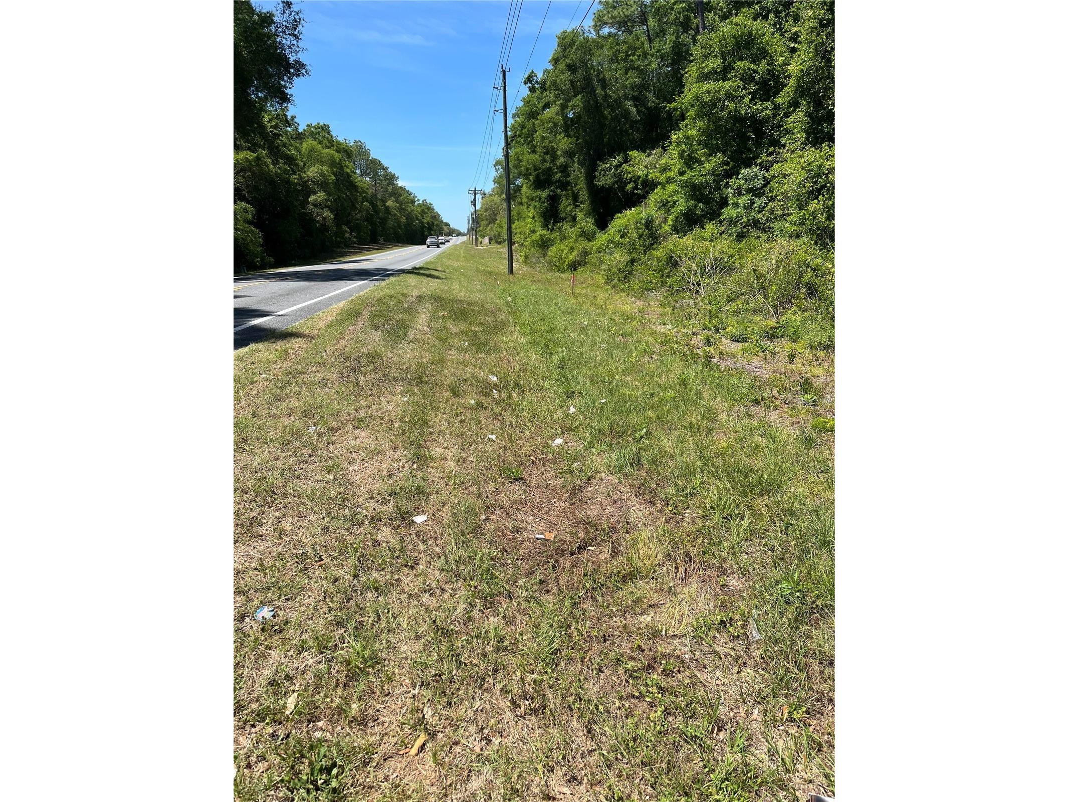 00 W Hwy 40 Lot 11 Ocala FL 34481 OM722899 image2