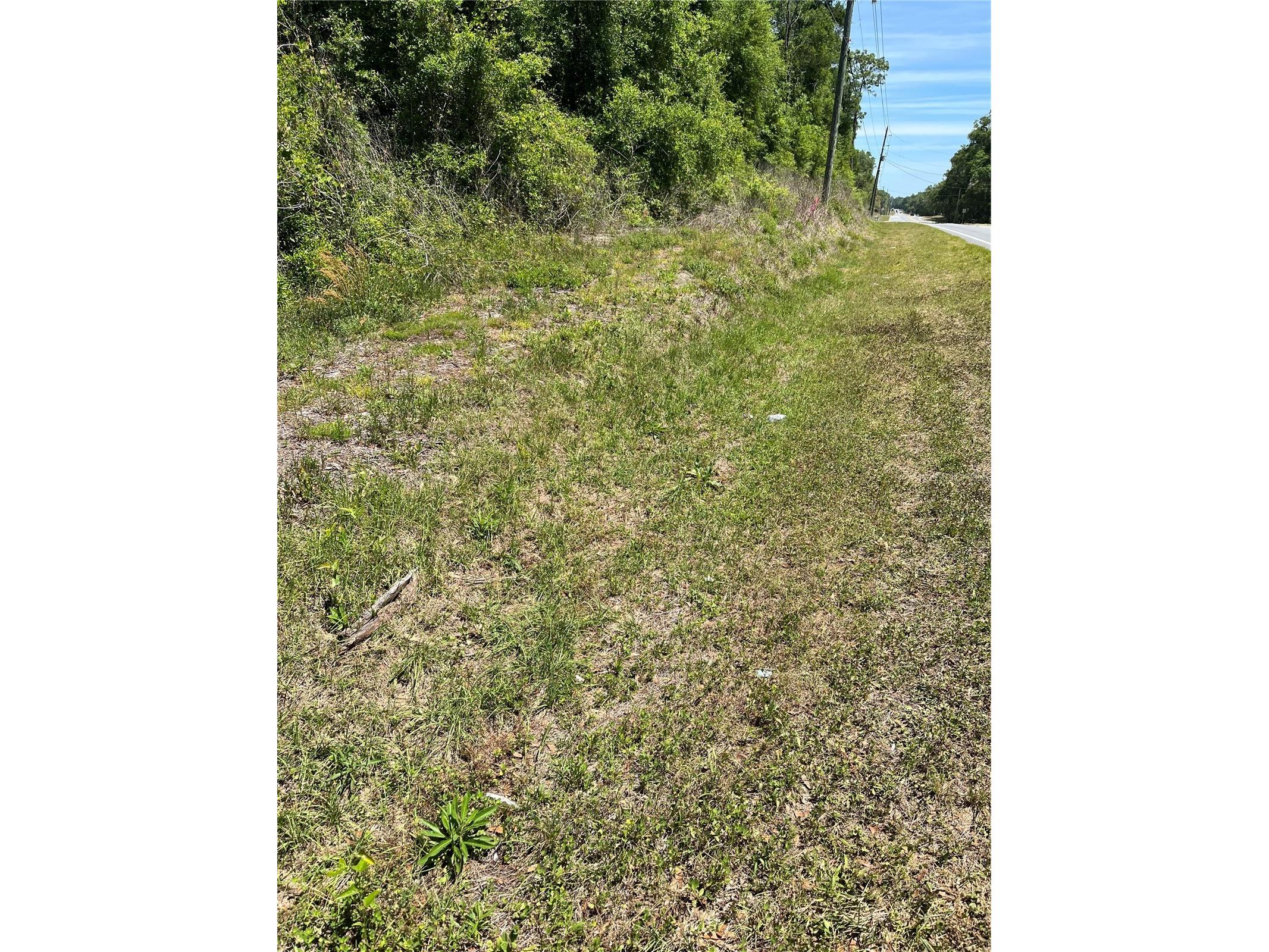 00 W Hwy 40 Lot 11 Ocala FL 34481 OM722899 image3