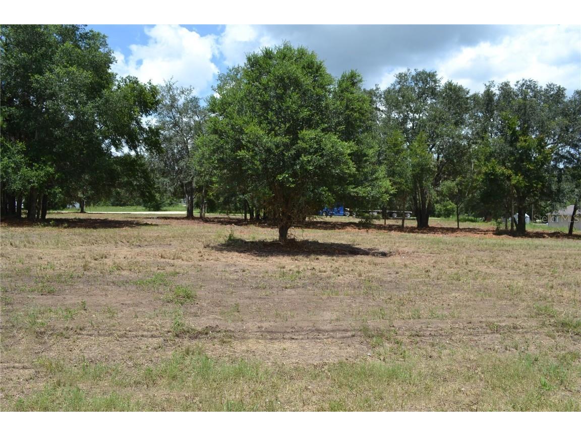 00 W Hwy 40 Ocala FL 34481 OM707101 image3