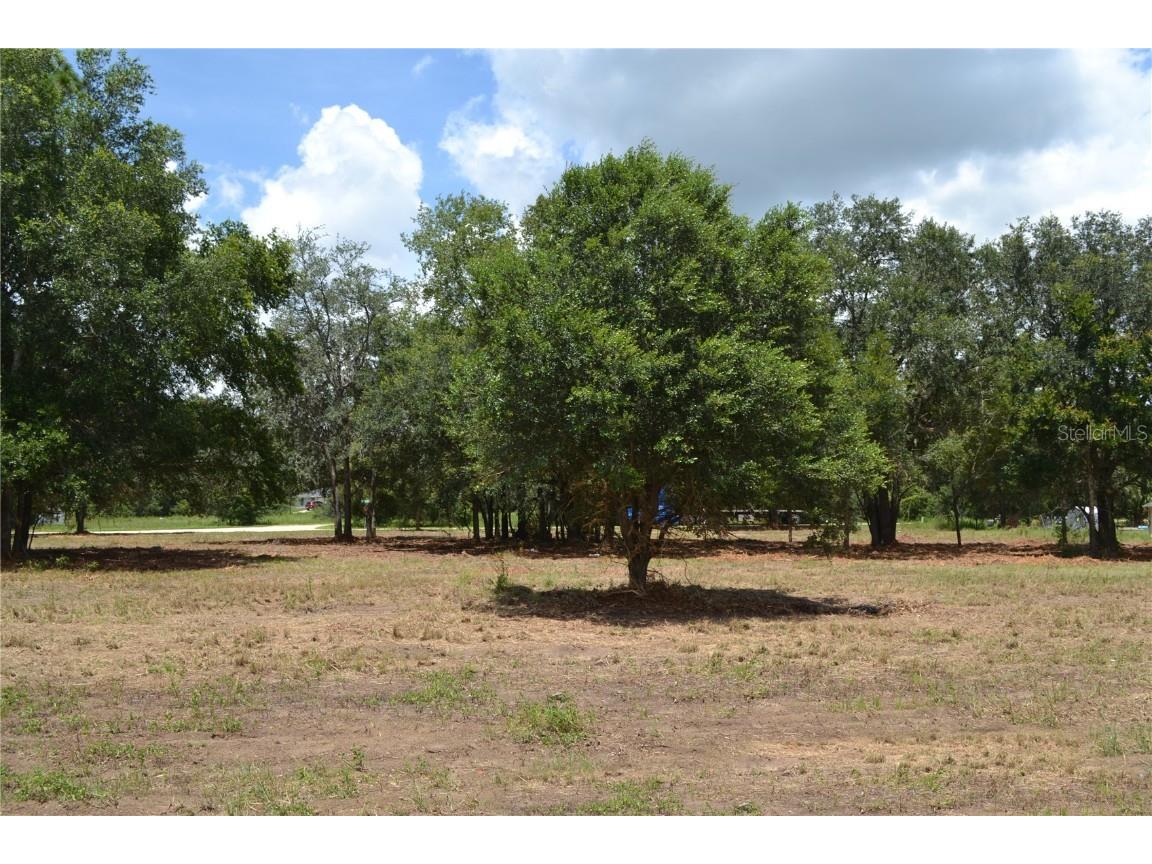 00 W Hwy 40 Ocala FL 34481 OM707101 image4