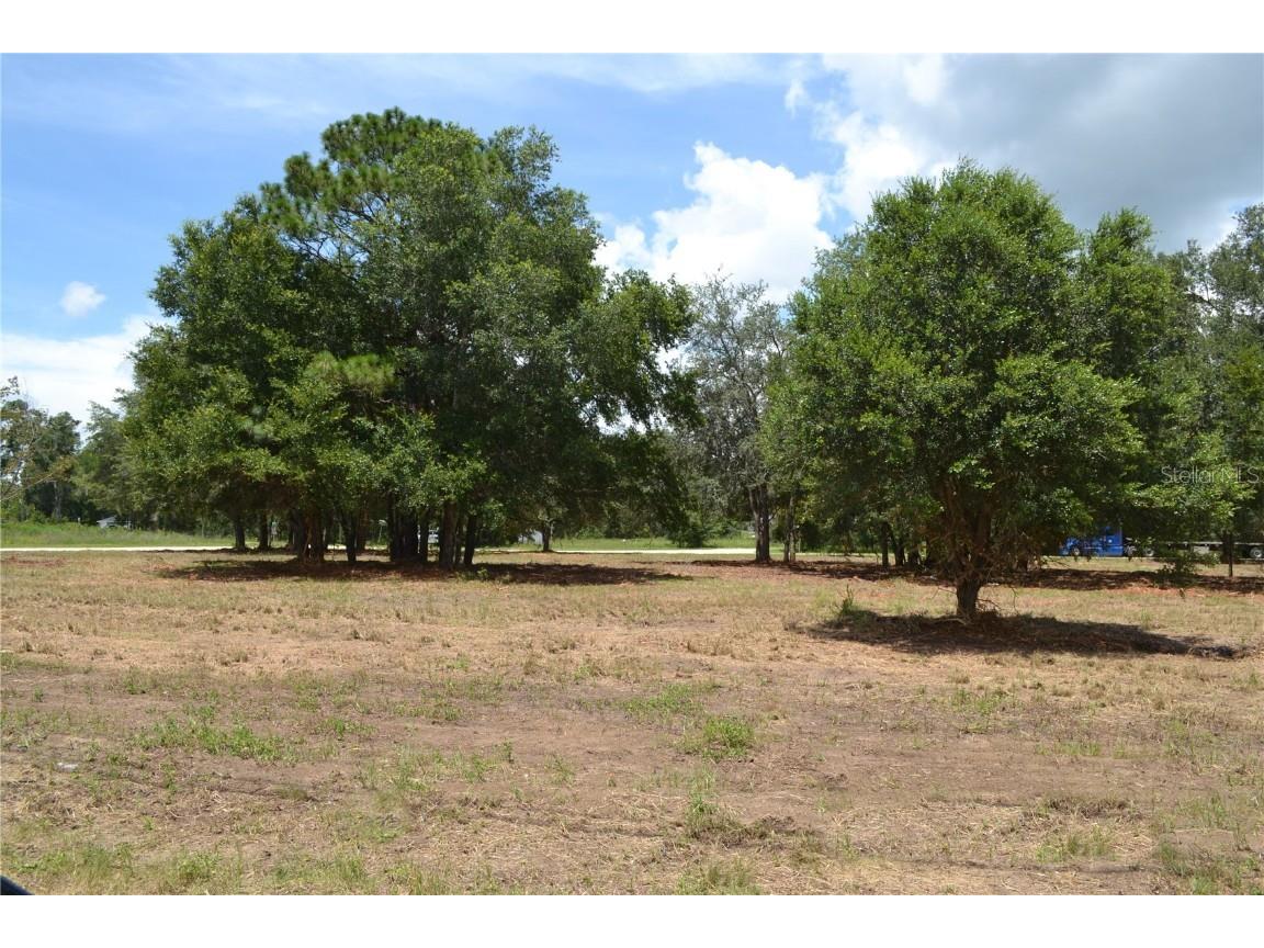 00 W Hwy 40 Ocala FL 34481 OM707101 image5