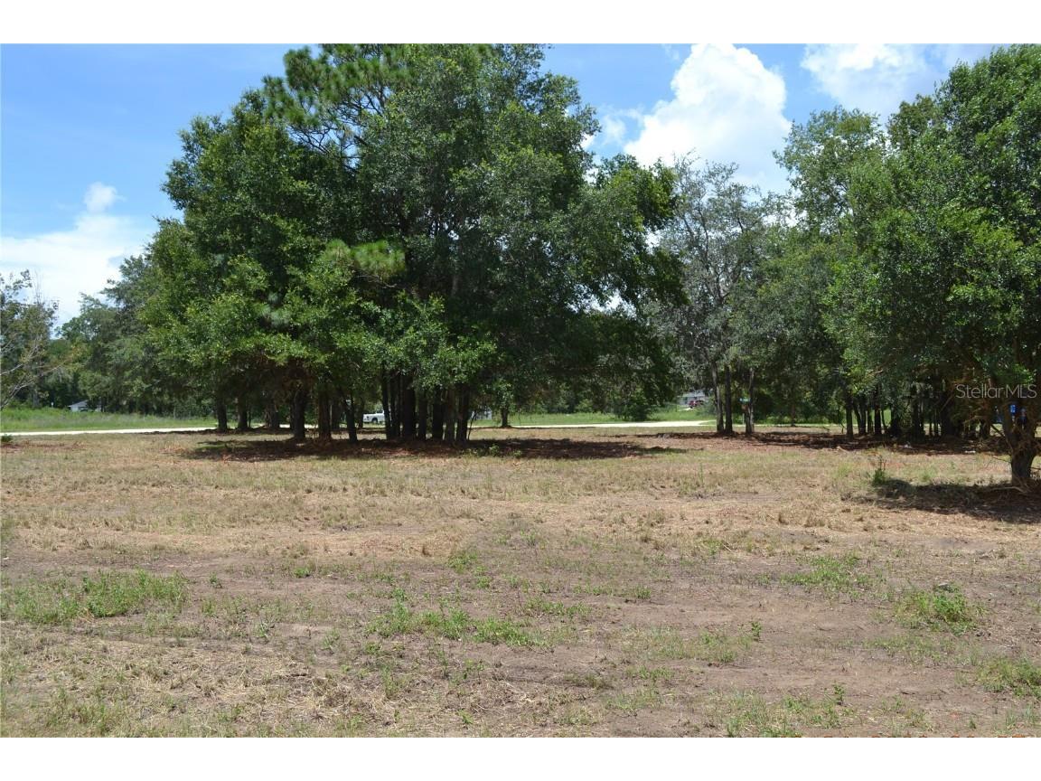 00 W Hwy 40 Ocala FL 34481 OM707101 image6