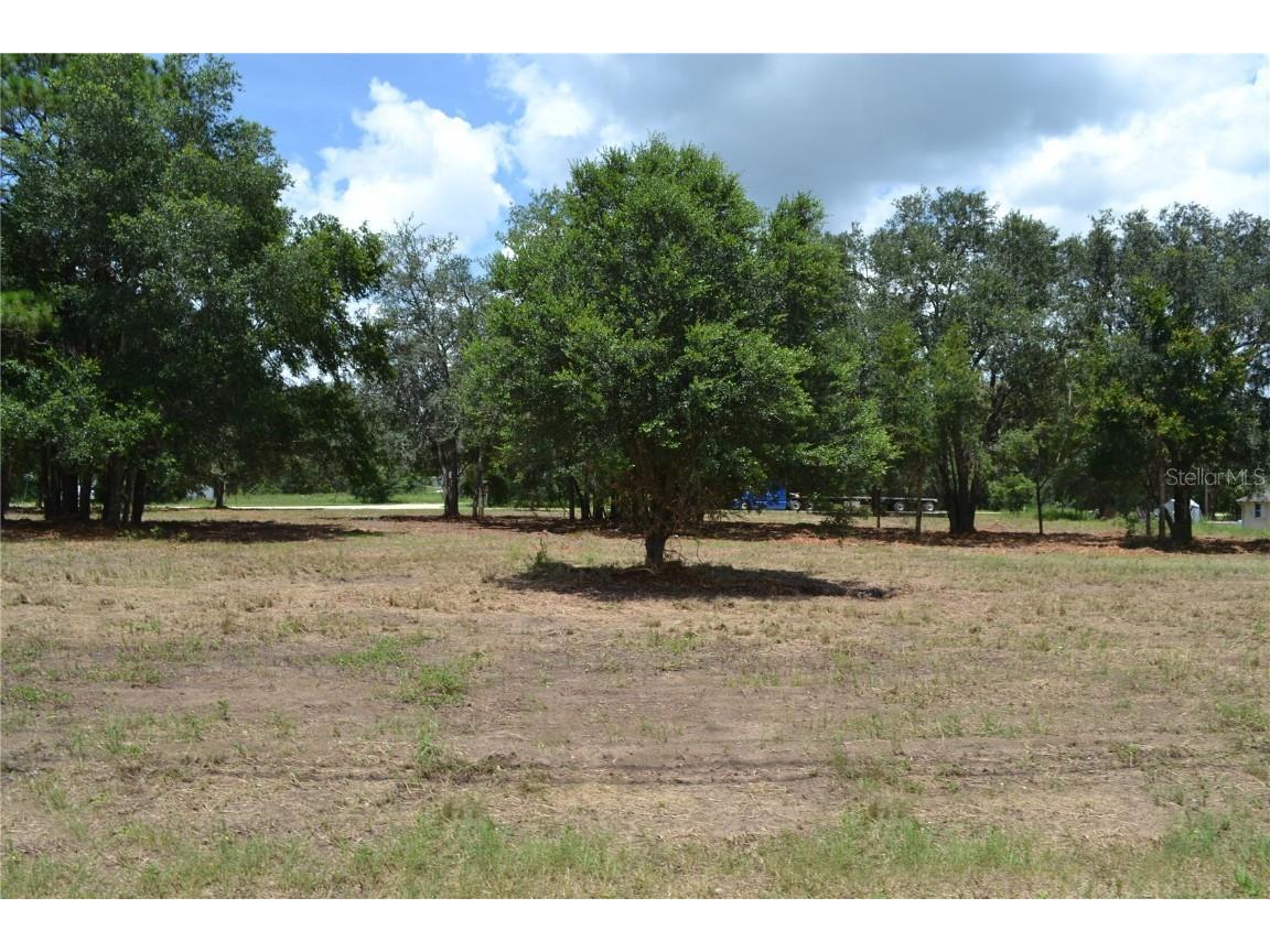 00 W Hwy 40 Ocala FL 34481 OM707101 image9