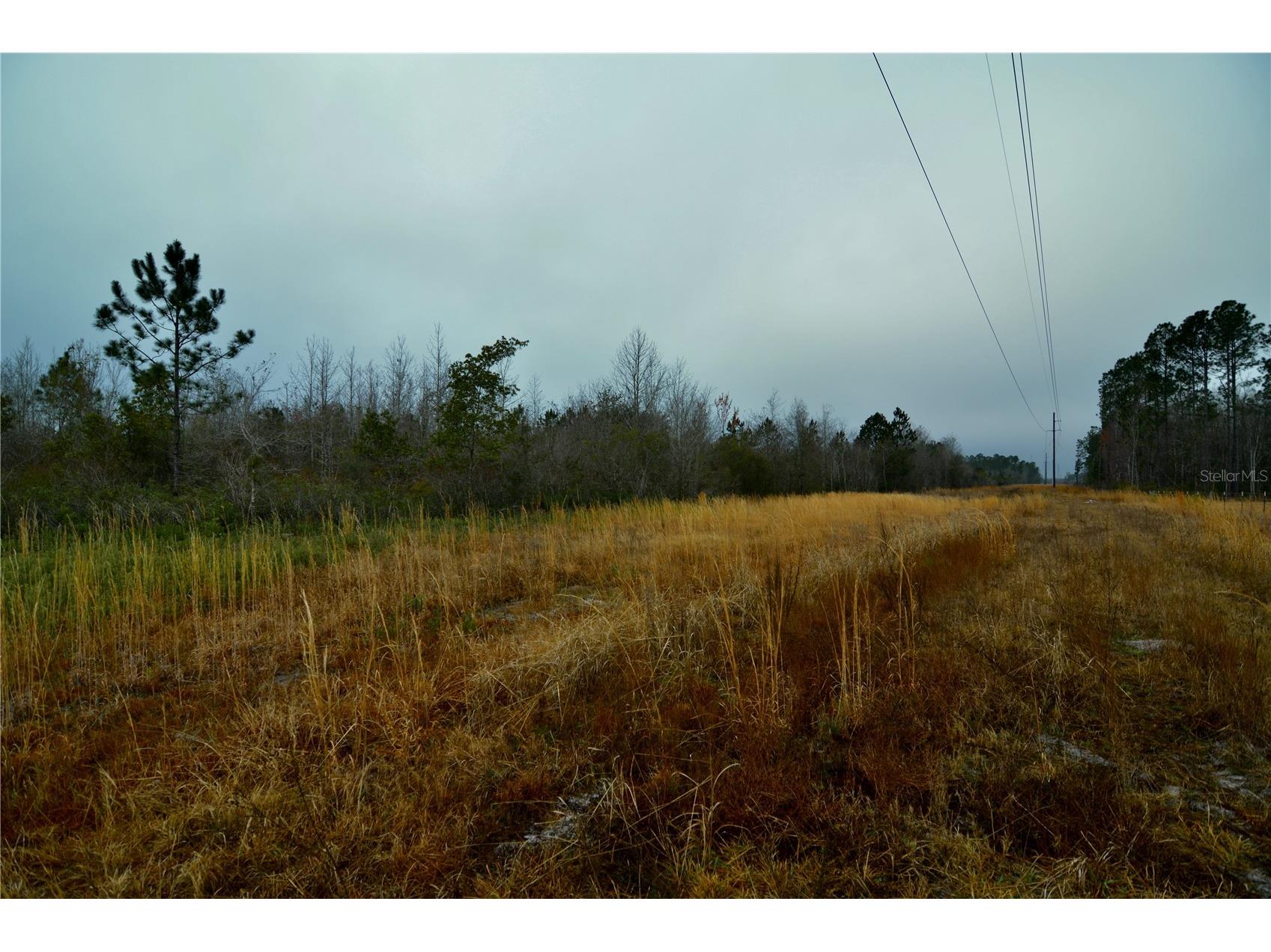 00 W Market Road Starke FL 32091 OM720713 image11