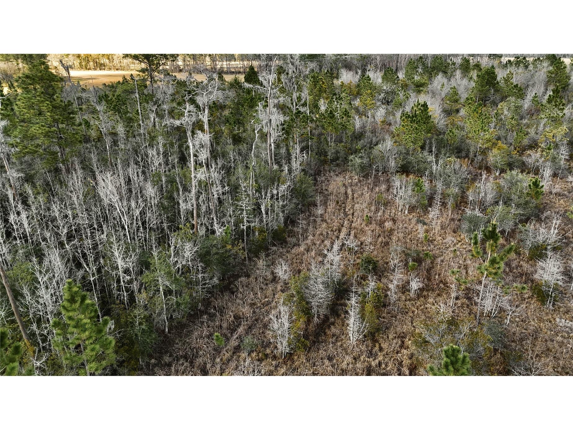 00 W Market Road Starke FL 32091 OM720713 image12