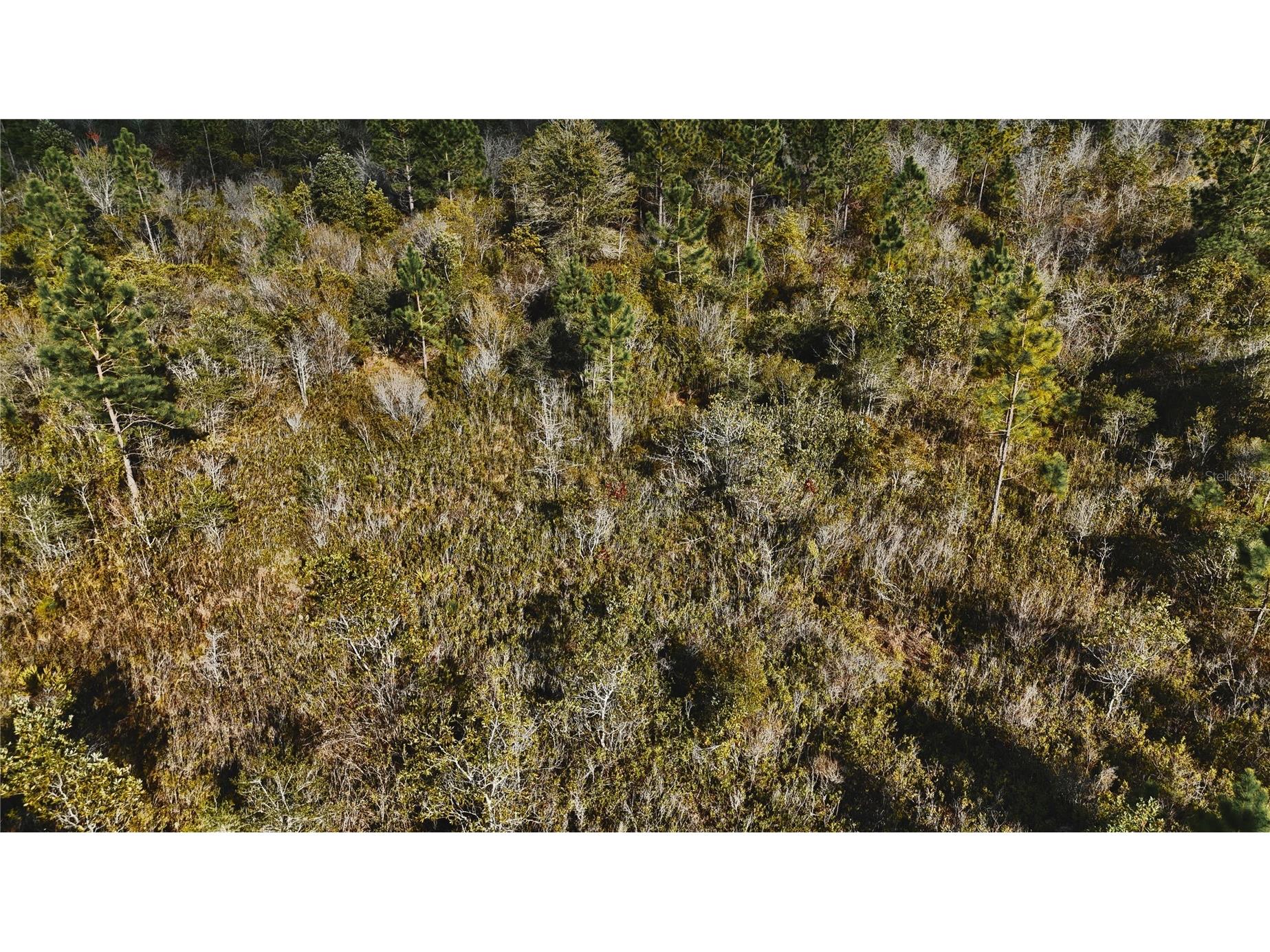 00 W Market Road Starke FL 32091 OM720713 image13