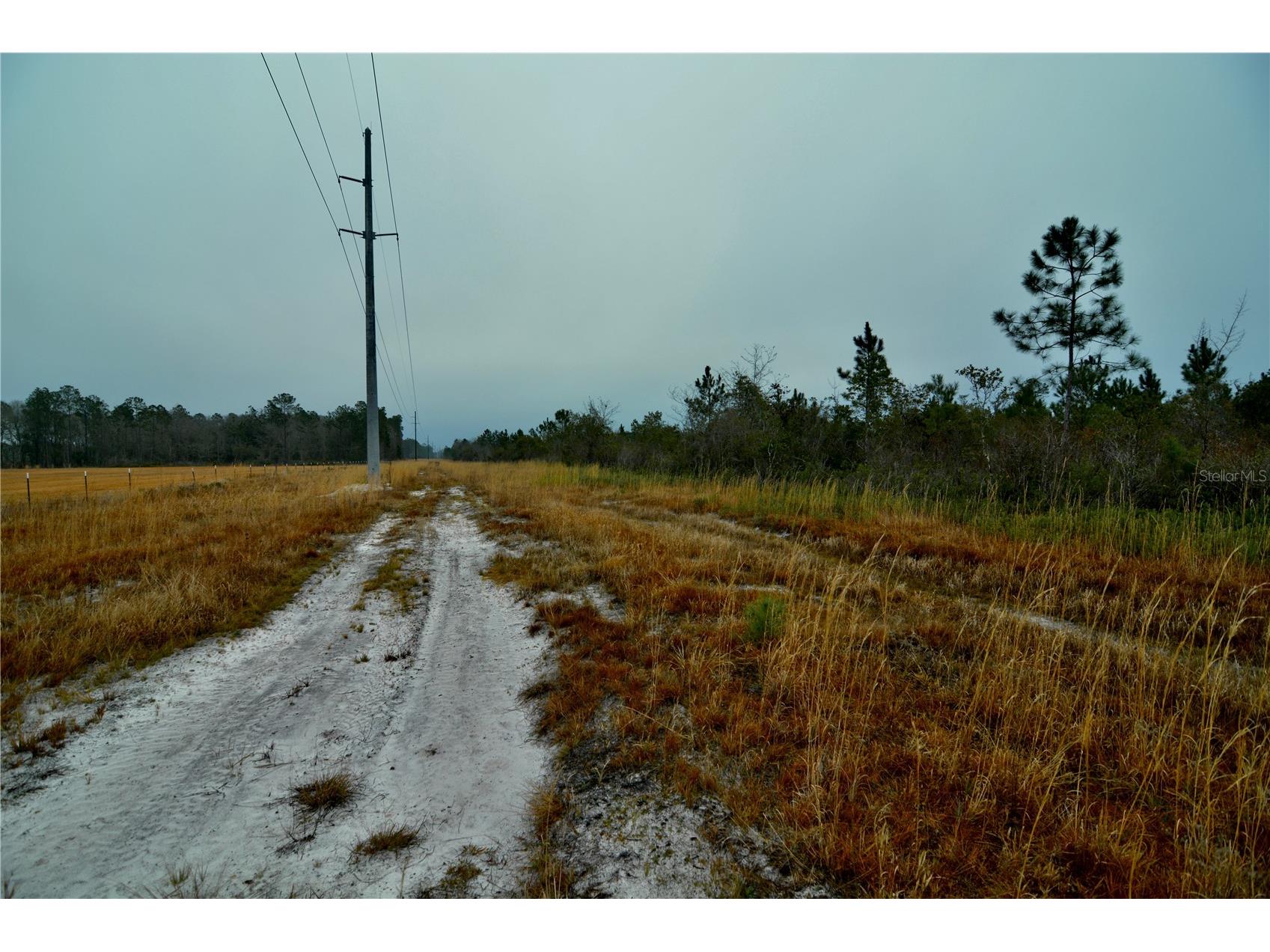 00 W Market Road Starke FL 32091 OM720713 image18