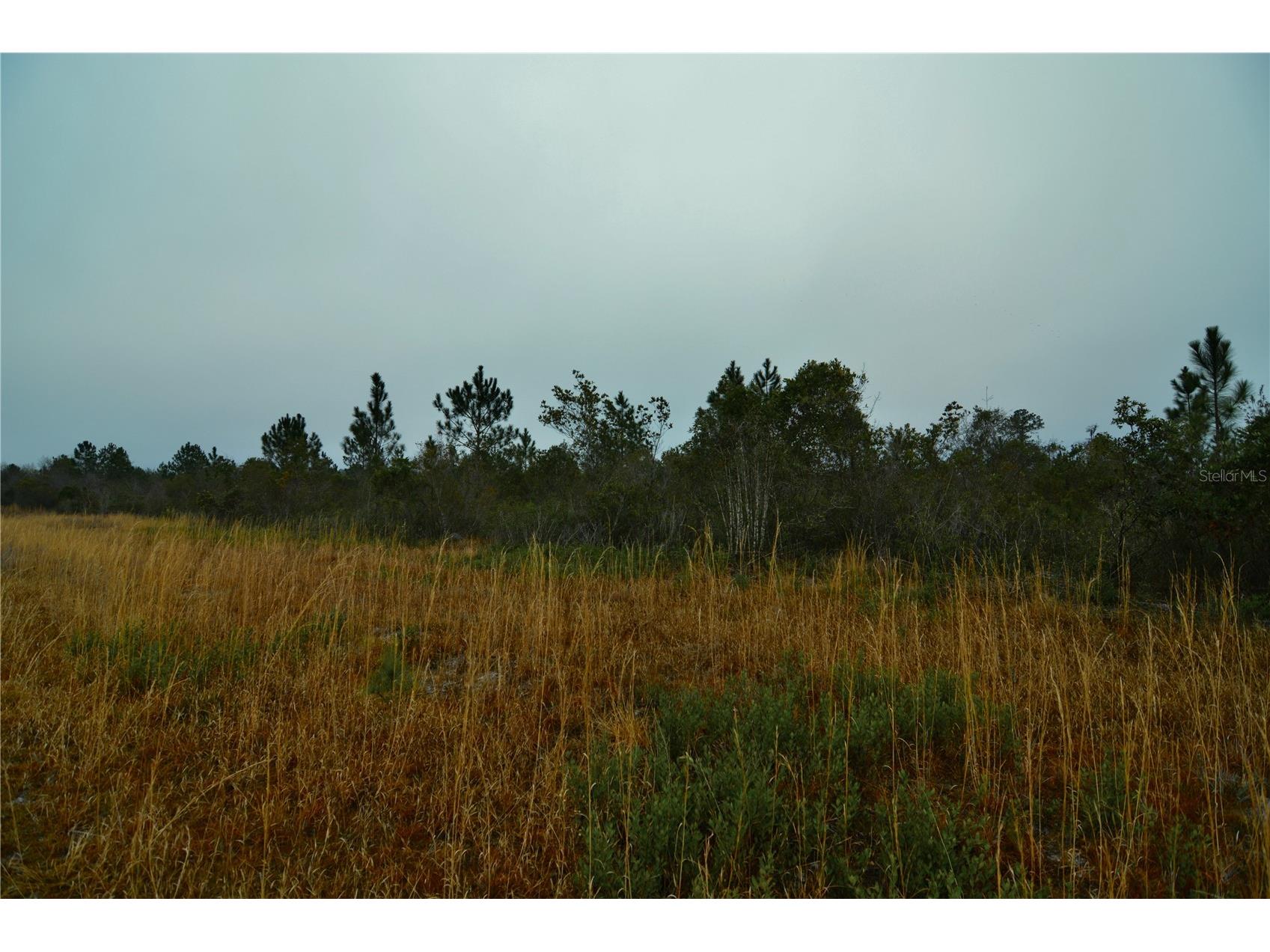 00 W Market Road Starke FL 32091 OM720713 image19