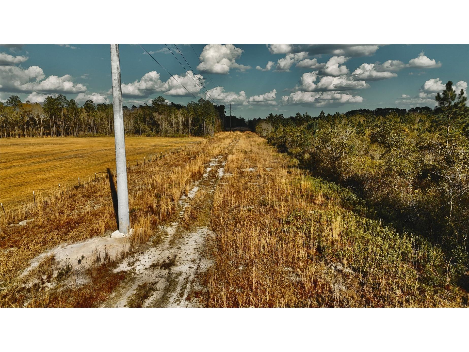 00 W Market Road Starke FL 32091 OM720713 image2
