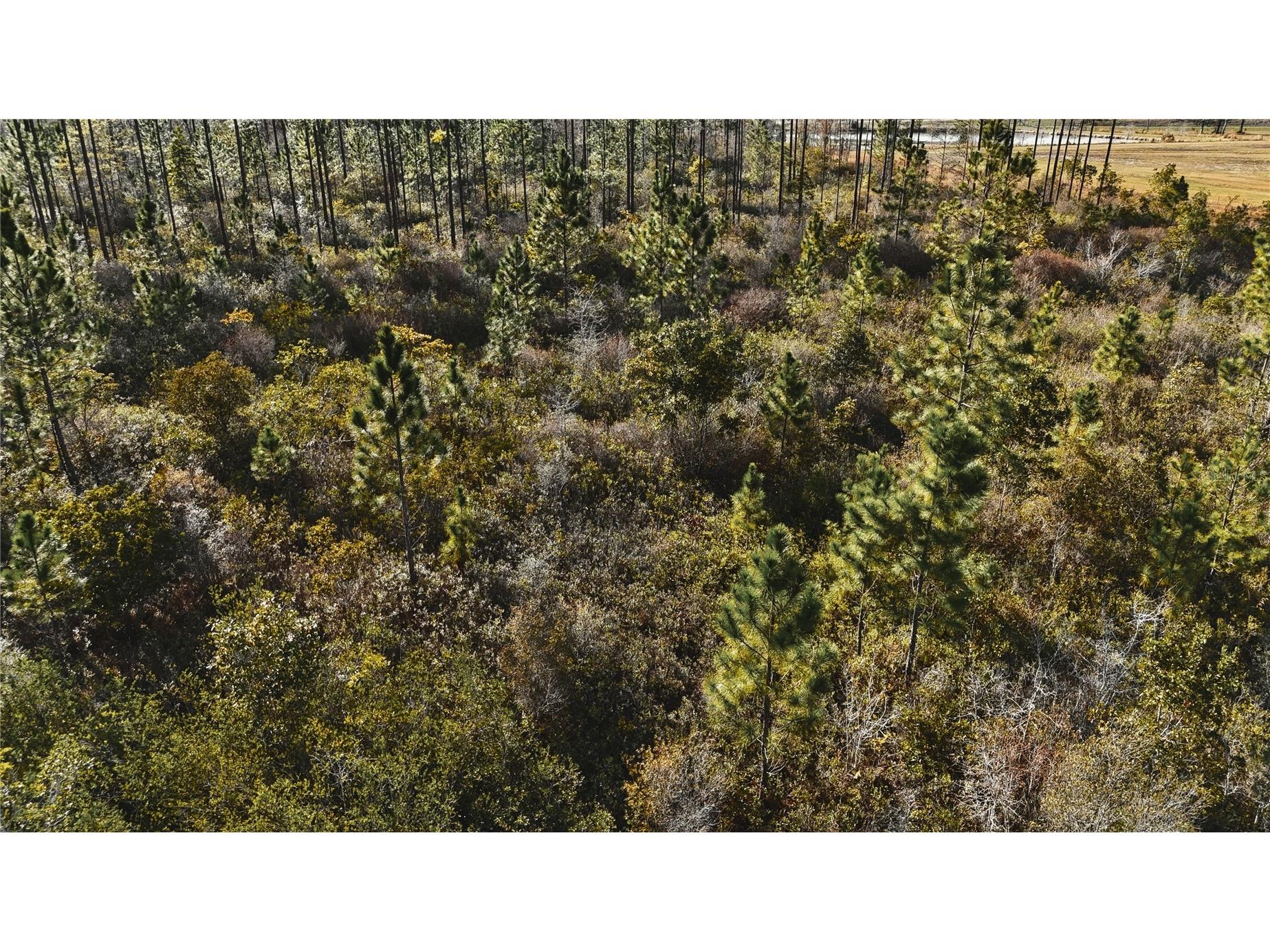 00 W Market Road Starke FL 32091 OM720713 image20