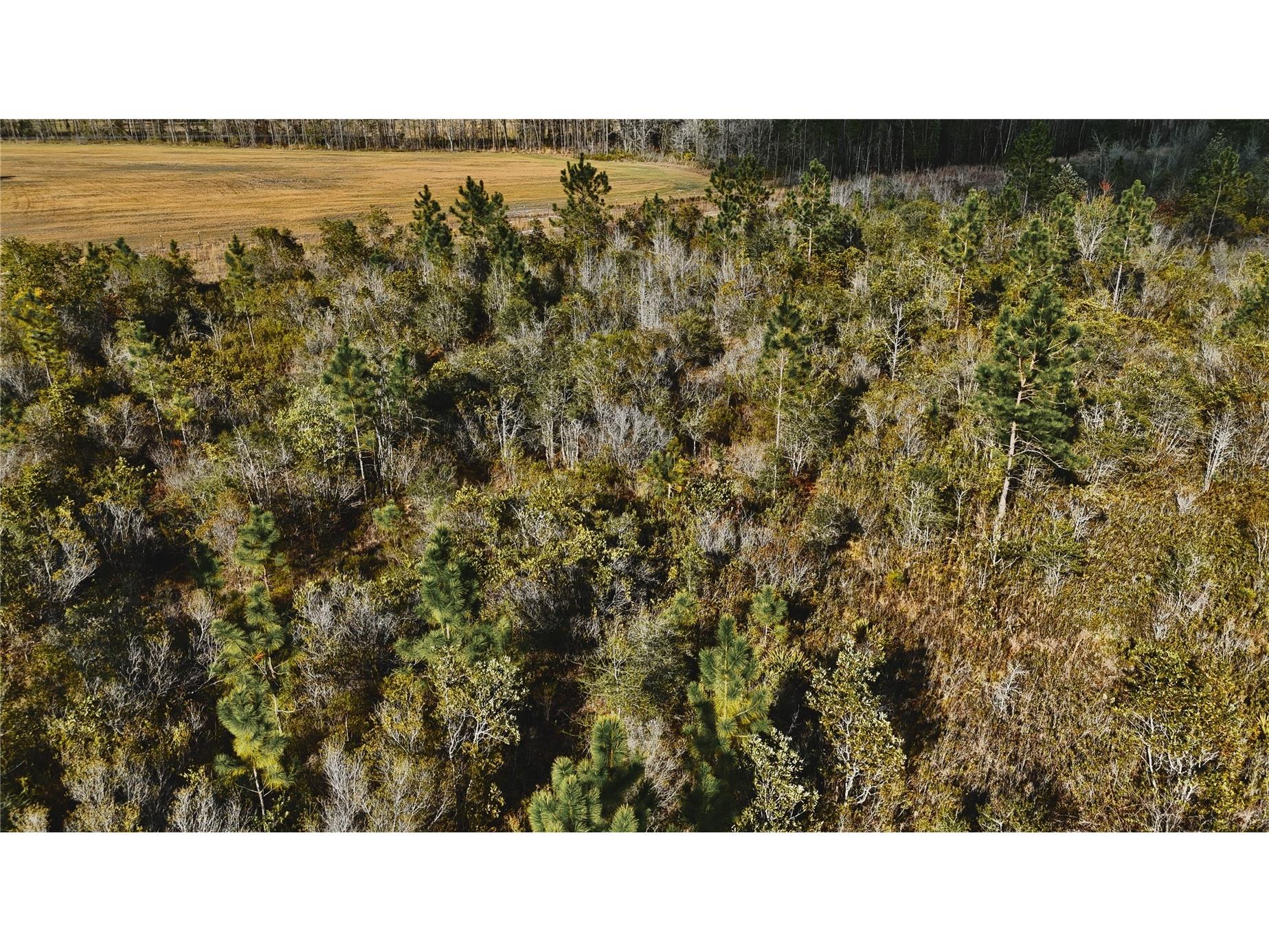 00 W Market Road Starke FL 32091 OM720713 image8