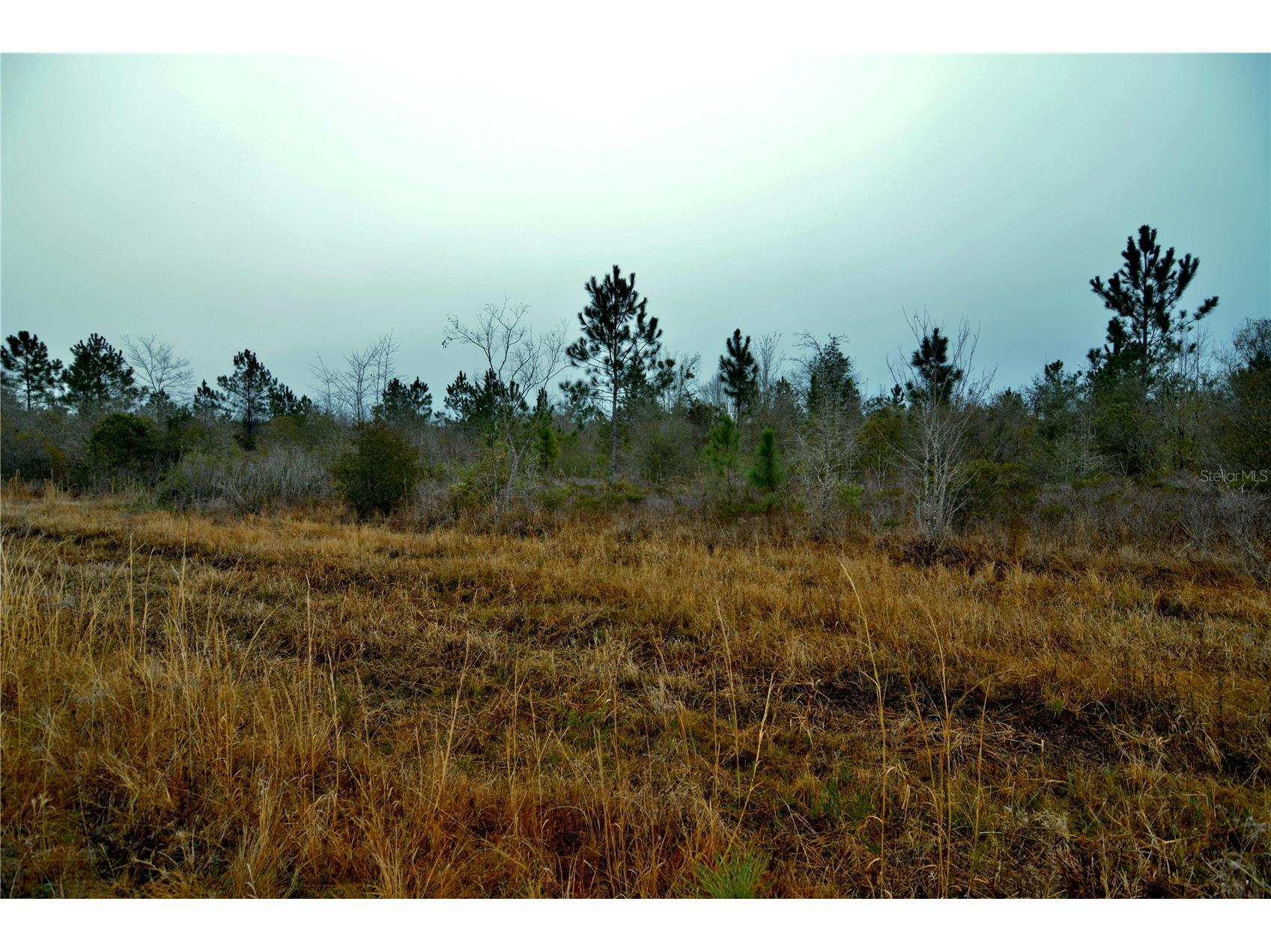 00 W Market Road Starke FL 32091 OM720713 image9