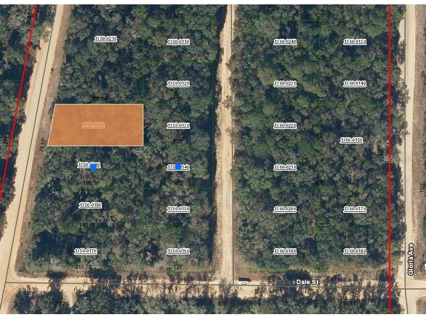 00 Walker Drive Interlachen FL 32148 OM697005 image1