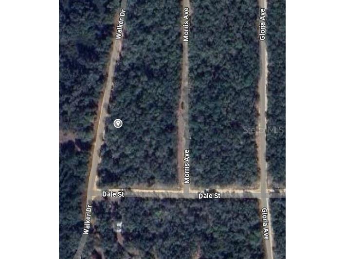 00 Walker Drive Interlachen FL 32148 OM697005 image2