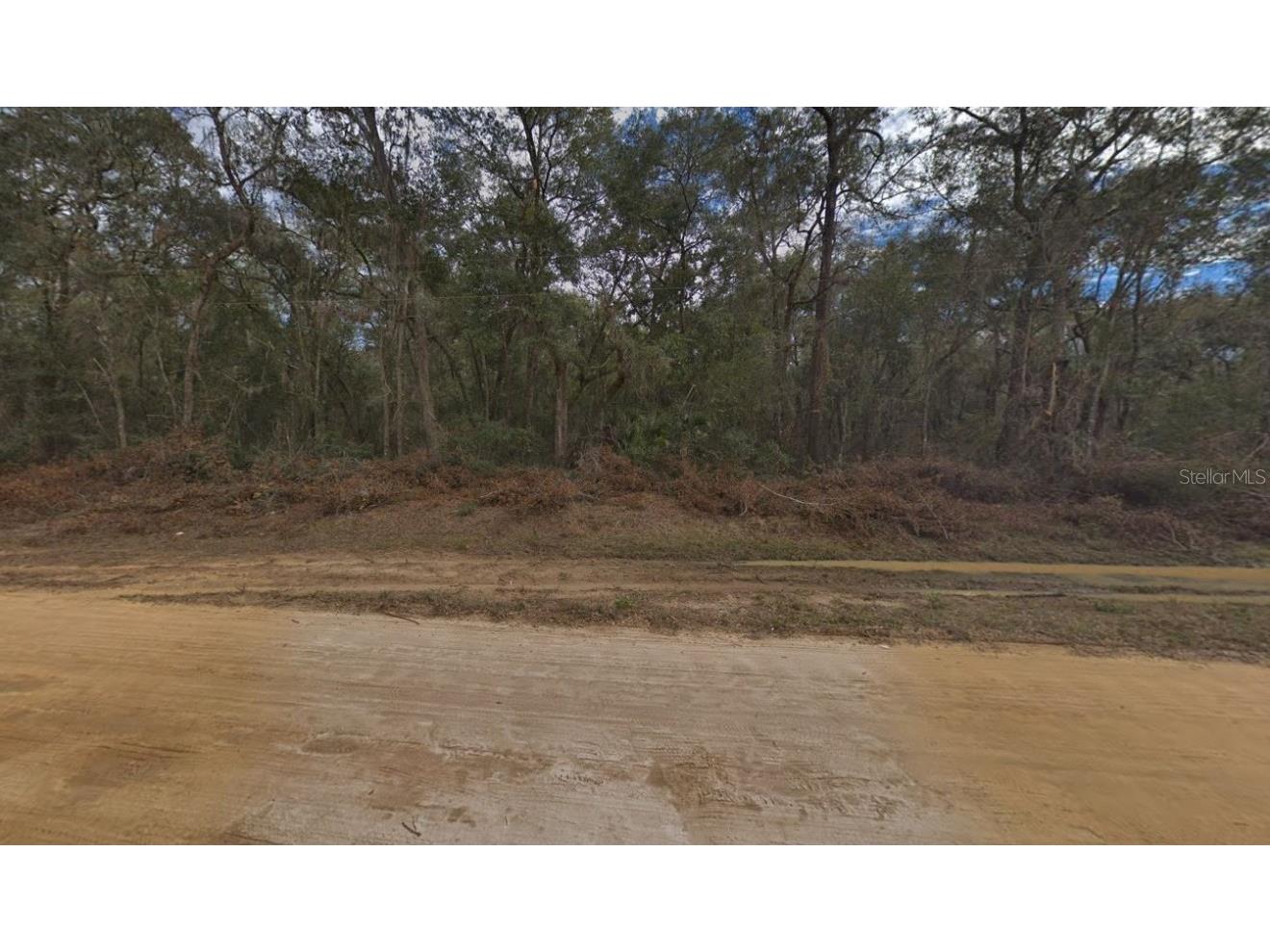 00 Walker Drive Interlachen FL 32148 OM697005 image3