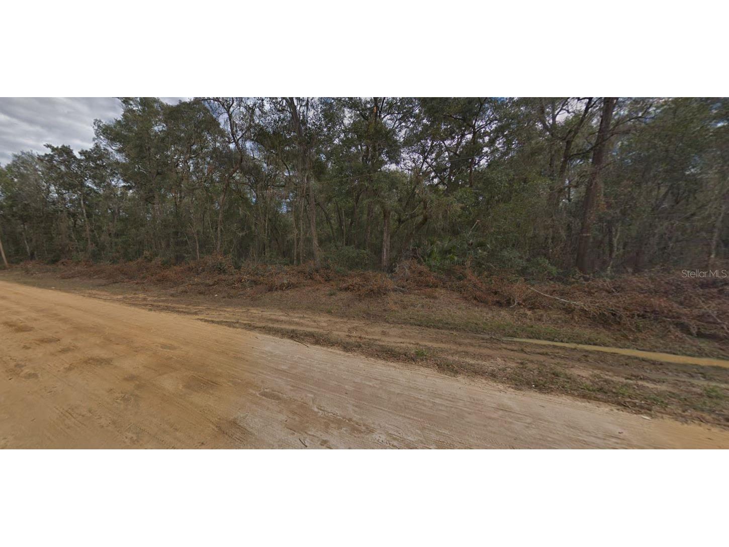 00 Walker Drive Interlachen FL 32148 OM697005 image4