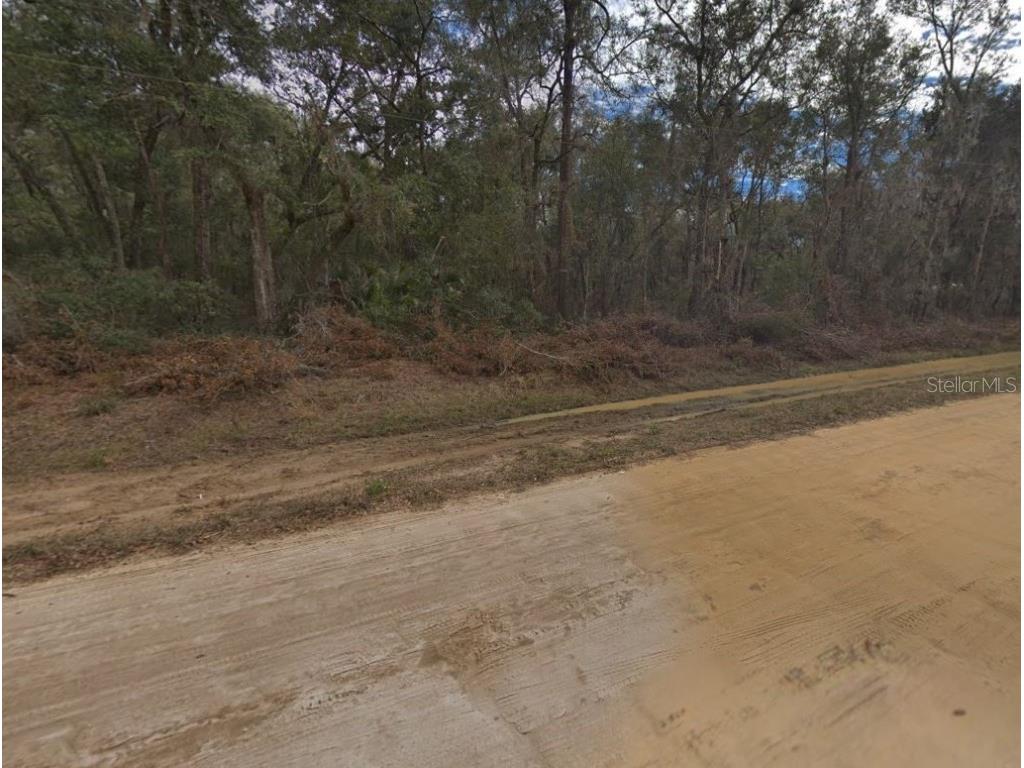 00 Walker Drive Interlachen FL 32148 OM697005 image5