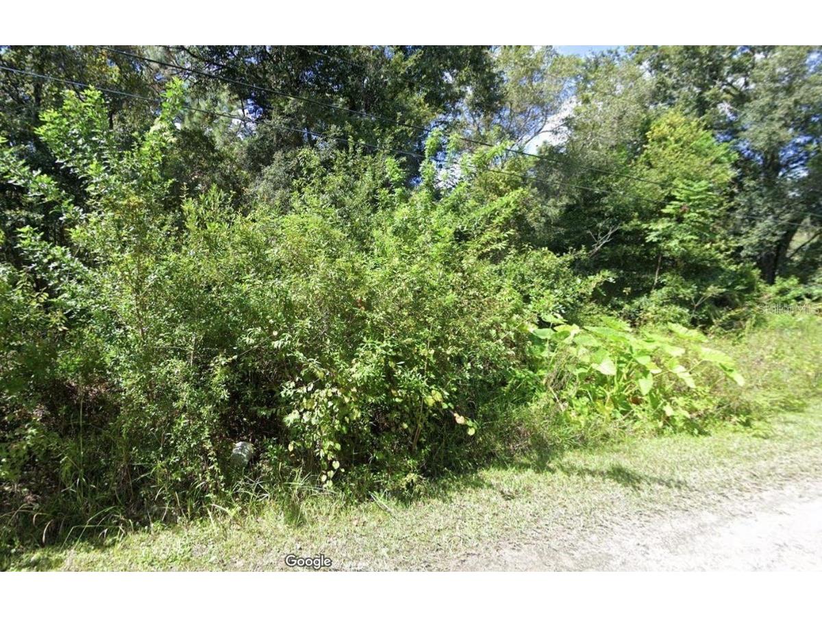 00 Webb Street New Port Richey FL 34654 W7868115 image1