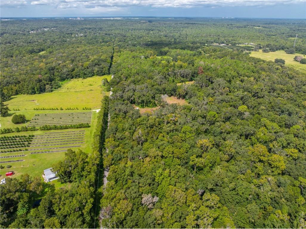 00 Whitman Road Brooksville FL 34601 T3552882 image10