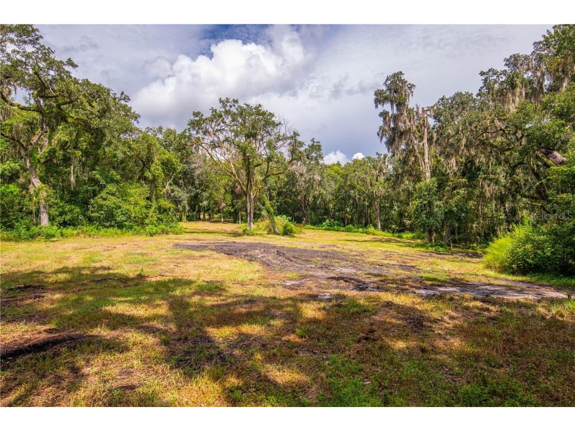 00 Whitman Road Brooksville FL 34601 T3552882 image13