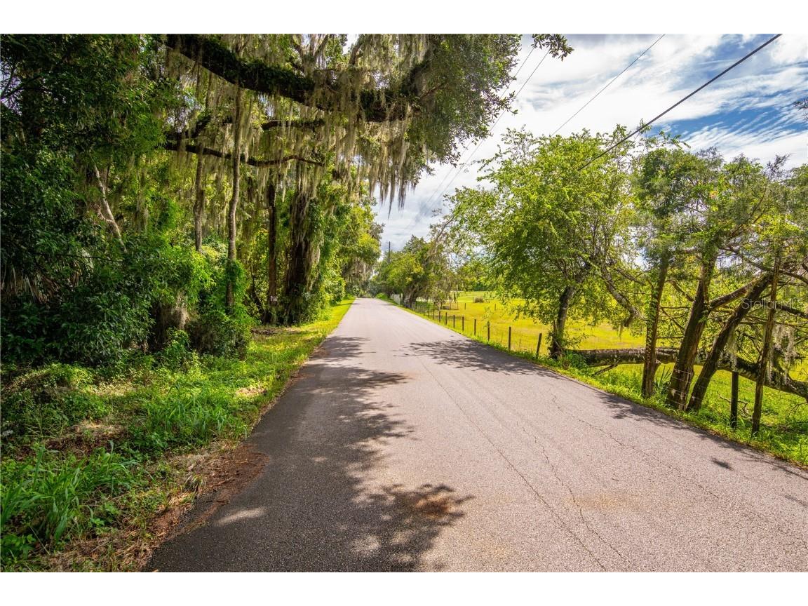 00 Whitman Road Brooksville FL 34601 T3552882 image14