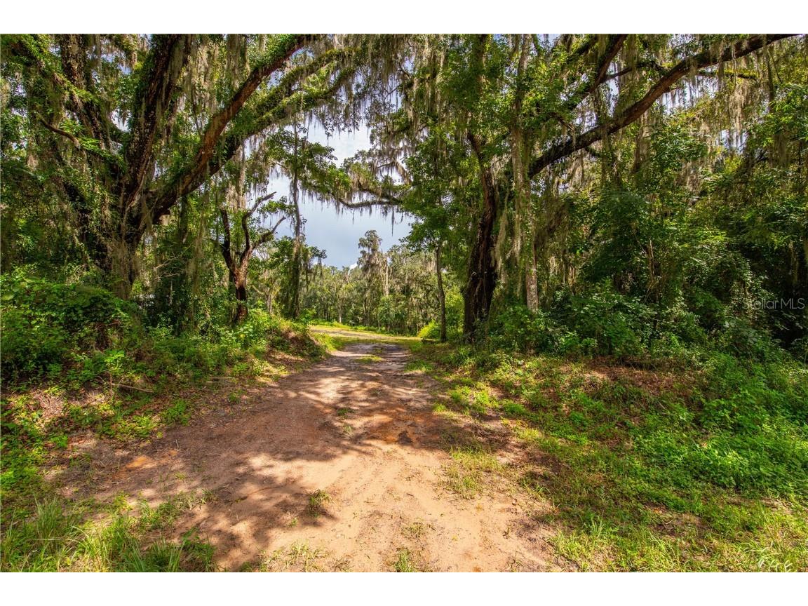 00 Whitman Road Brooksville FL 34601 T3552882 image15