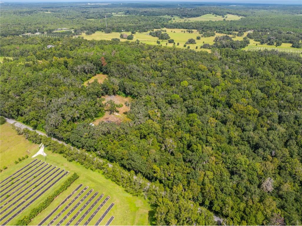 00 Whitman Road Brooksville FL 34601 T3552882 image17