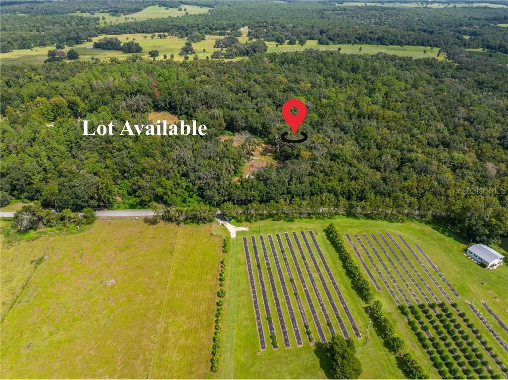 00 Whitman Road Brooksville FL 34601 T3552882 image2