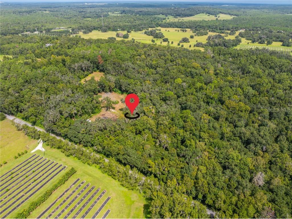 00 Whitman Road Brooksville FL 34601 T3552882 image3