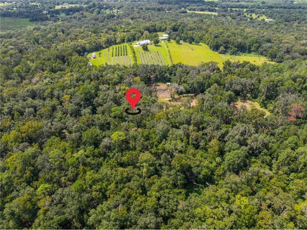 00 Whitman Road Brooksville FL 34601 T3552882 image4