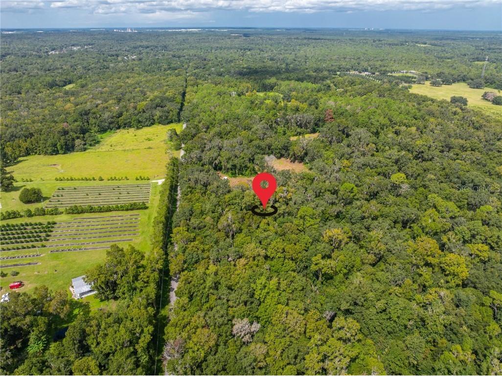 00 Whitman Road Brooksville FL 34601 T3552882 image5