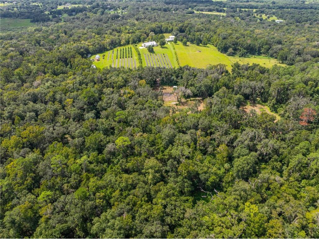 00 Whitman Road Brooksville FL 34601 T3552882 image6