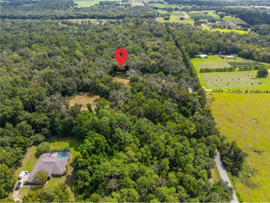 00 Whitman Road Brooksville FL 34601 T3552882 image7