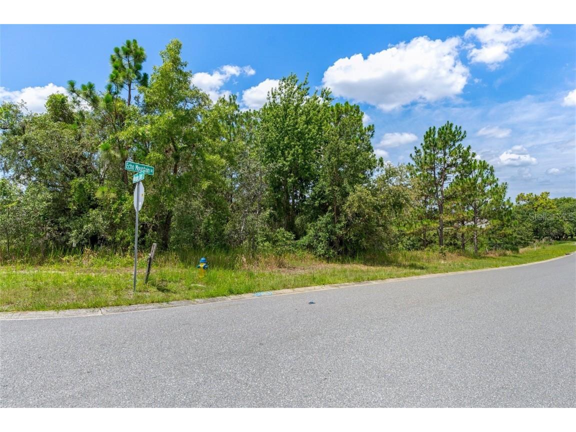 00 Winding Oaks Boulevard Hudson FL 34667 W7878868 image18