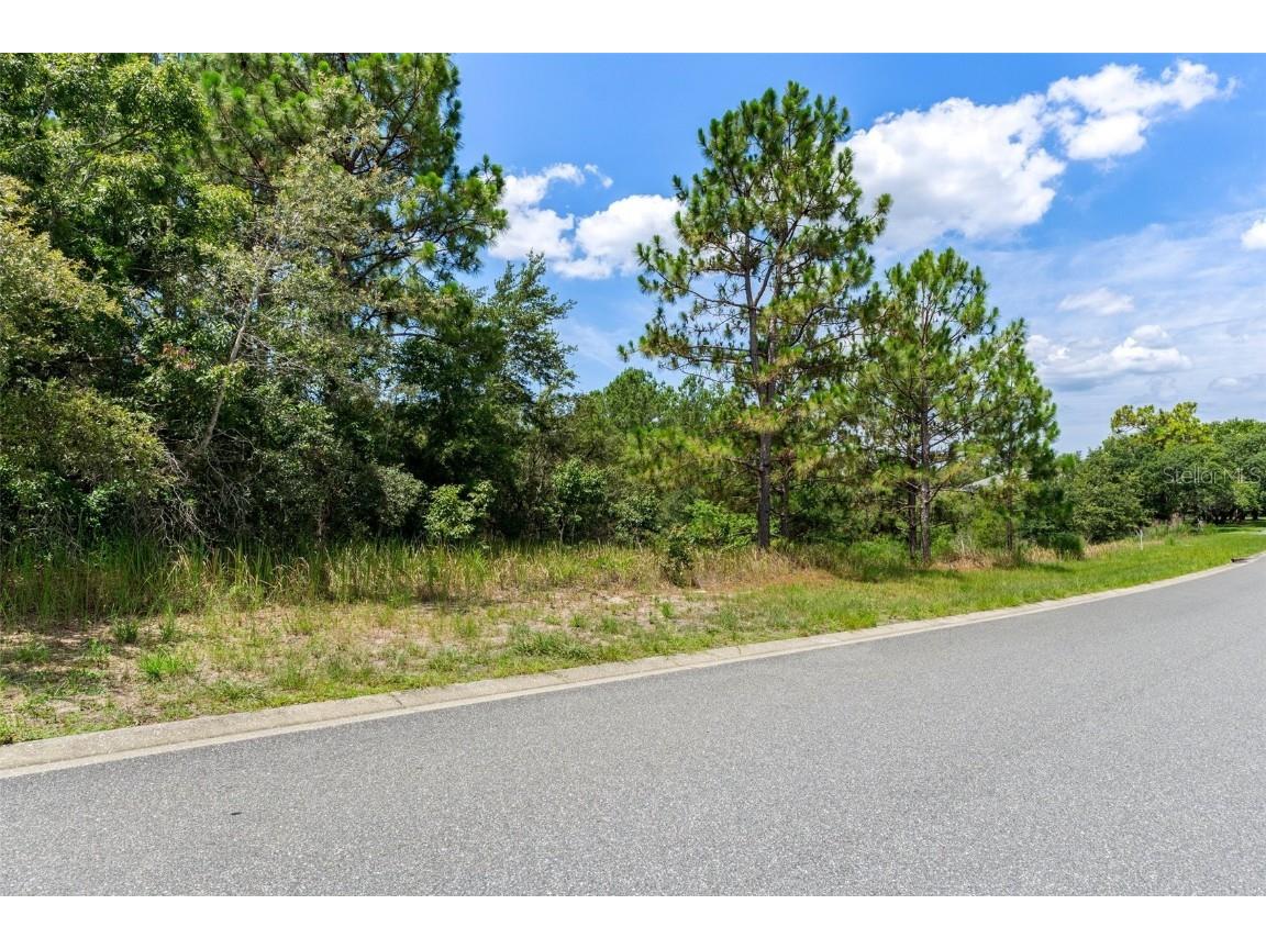00 Winding Oaks Boulevard Hudson FL 34667 W7878868 image19