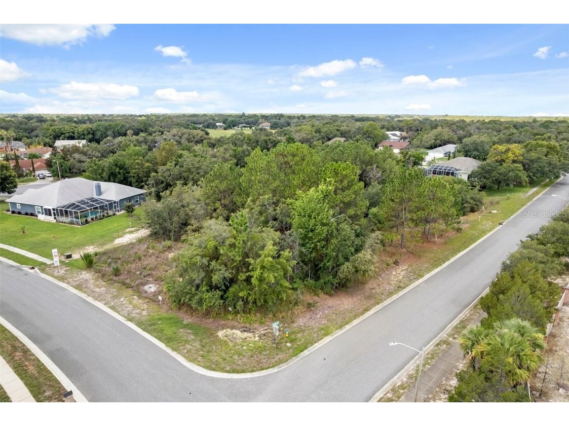 00 Winding Oaks Boulevard Hudson FL 34667 W7878868 image3