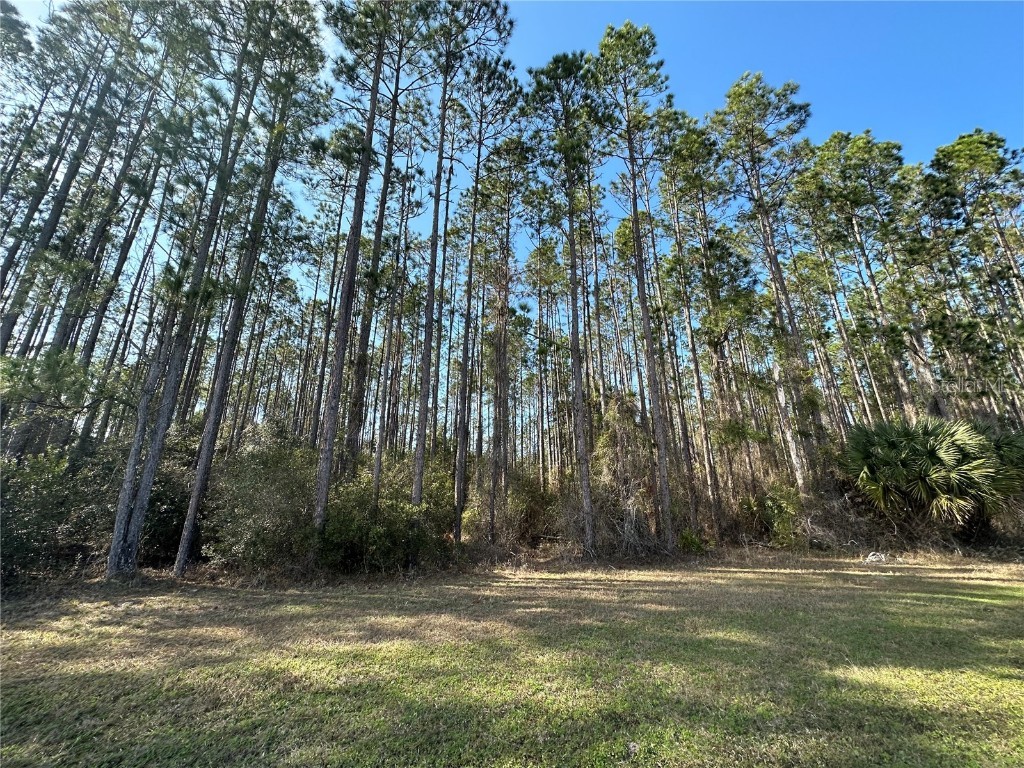 000 243rd Street Hawthorne FL 32640 GC510876 image1