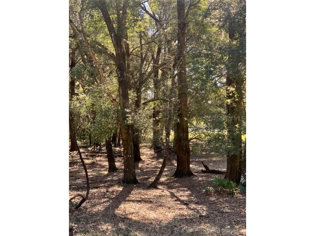 000 42 Highway Summerfield FL 34491 G5077863 image1