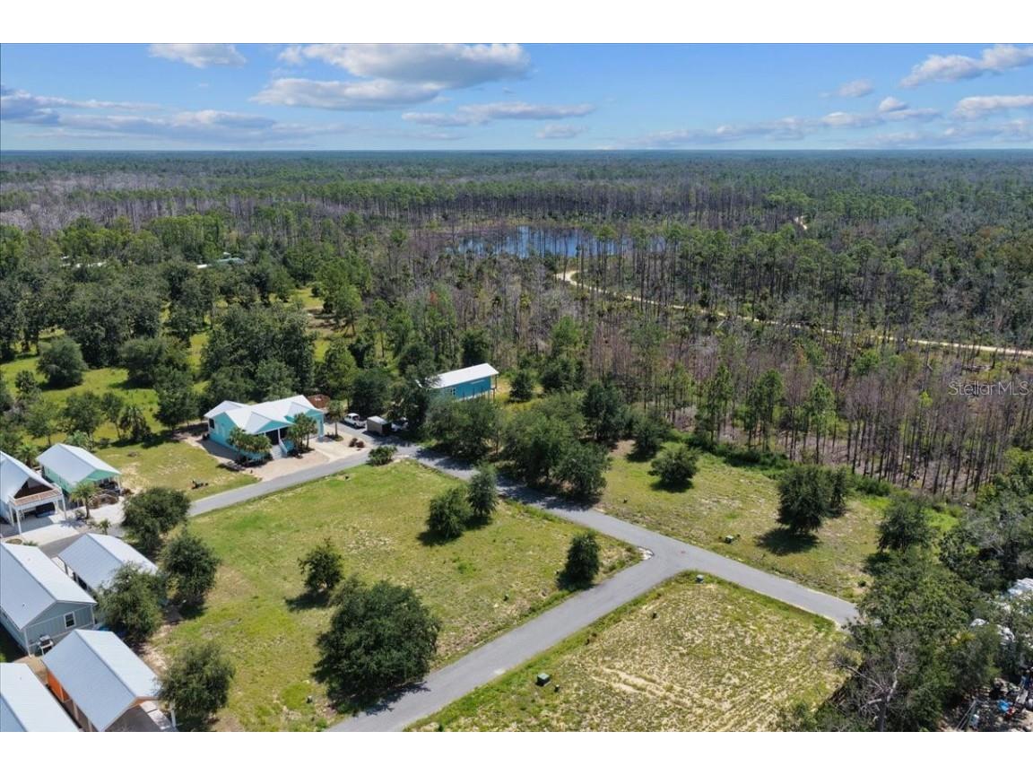 000 869th Loop Steinhatchee FL 32359 W7878941 image10
