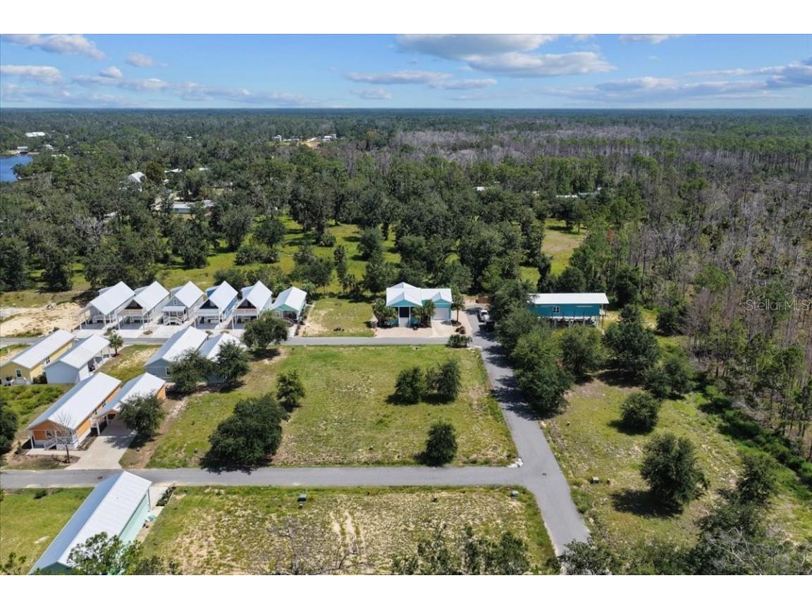 000 869th Loop Steinhatchee FL 32359 W7878941 image11