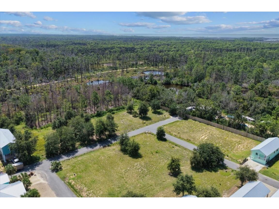 000 869th Loop Steinhatchee FL 32359 W7878941 image13