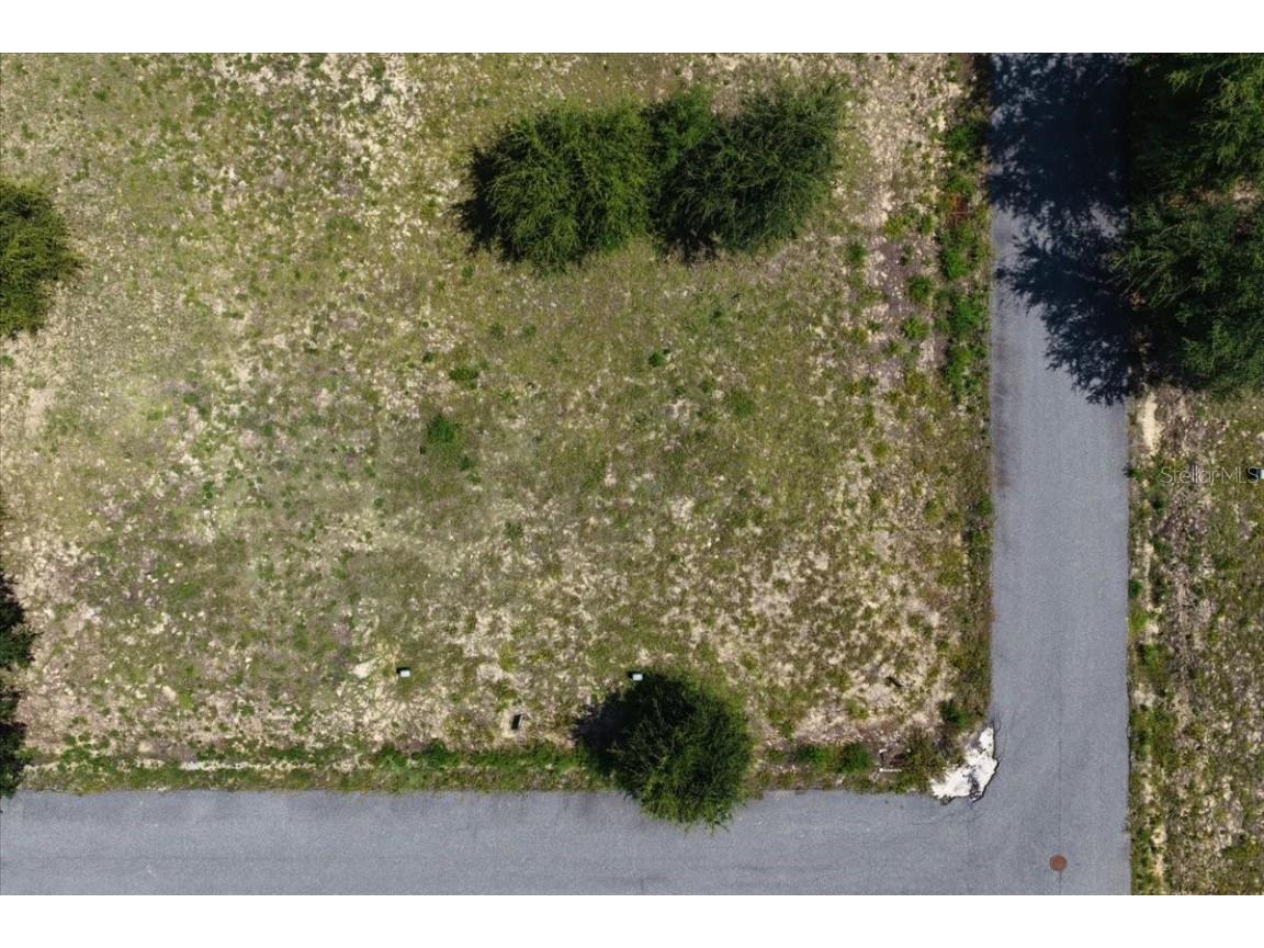 000 869th Loop Steinhatchee FL 32359 W7878941 image2