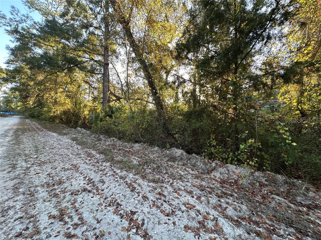 000 926th Street Old Town FL 32680 GC535407 image1