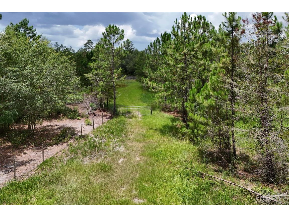 000 Beach Drive Eustis FL 32736 G5098794 image1