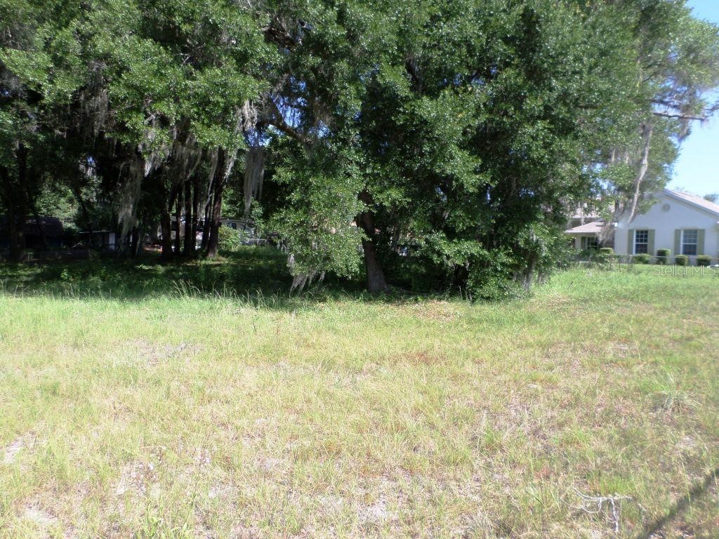 000 Blue Heron Ct #000 Dunnellon FL 34432 - RAINBOW RIVER OM679724 image1