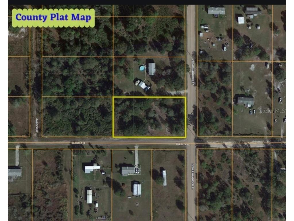 000 Cedar Hammock Street Lake Wales FL 33859 OM677539 image1