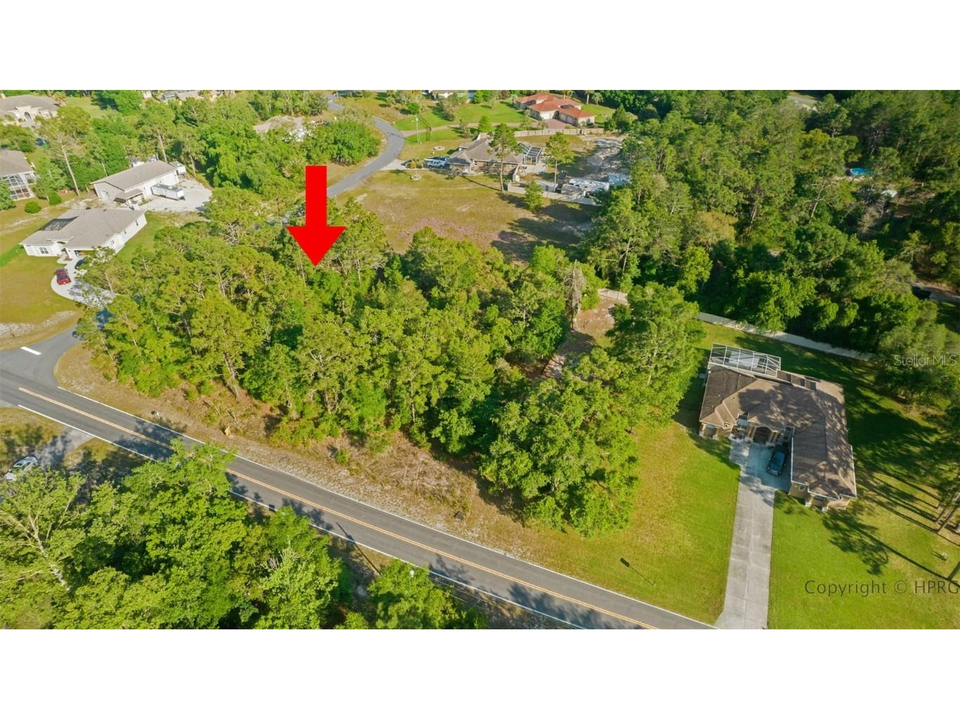 000 Coronado Drive #1 Spring Hill FL 34609 W7844302 image1