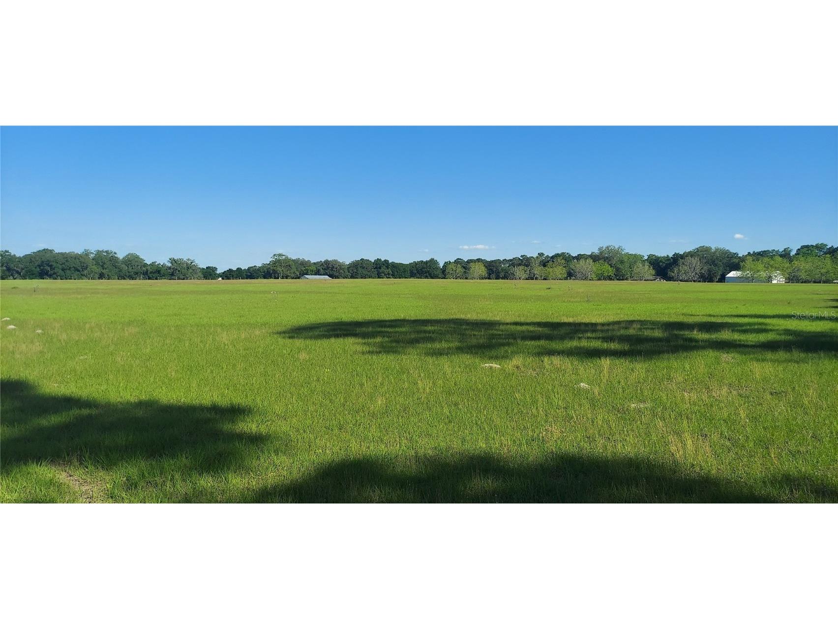 000 Cr 475 Oxford FL 34484 G5080963 image1