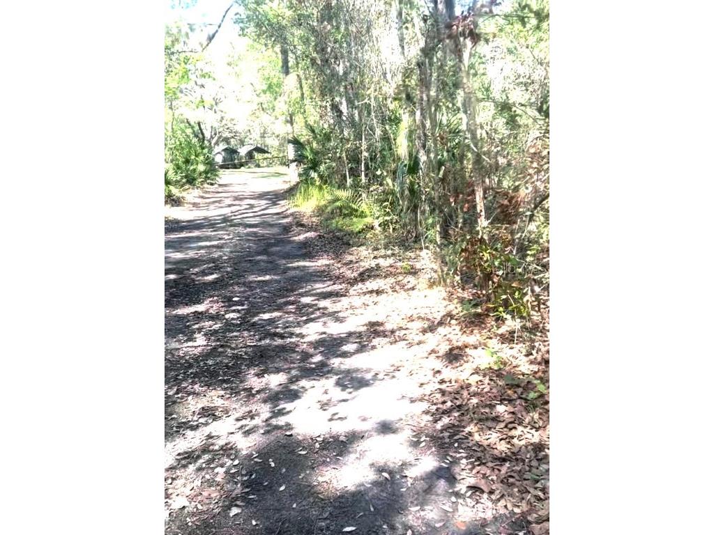 000 Dean Still Road Davenport FL 33897 O6315439 image6